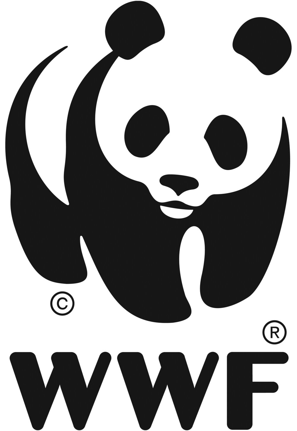 Logo Panda WWF100.jpg