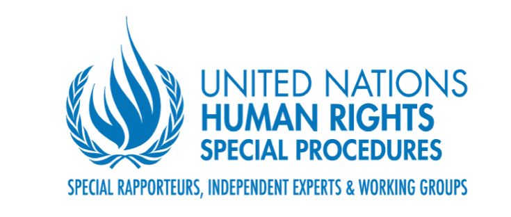 UNSR-OHCHR.png