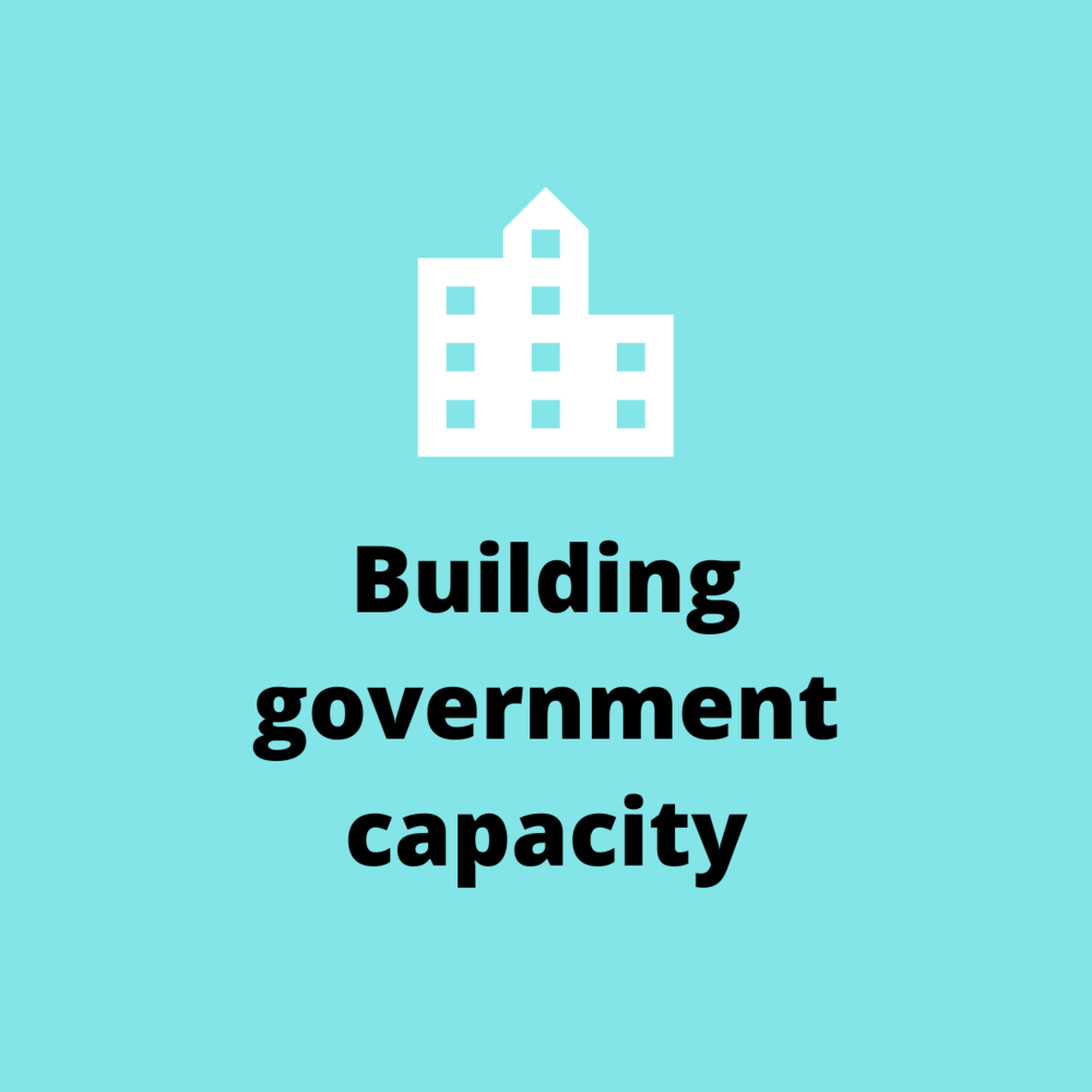 Who we are- Building government capacity.png