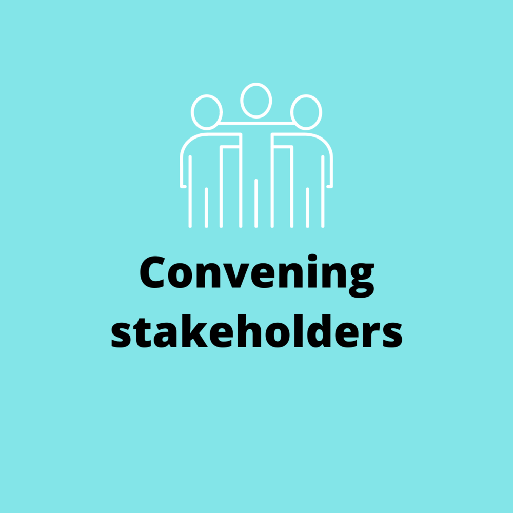 Who we are- Convening stakeholders.png